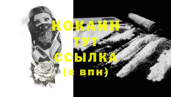 крисы Верея
